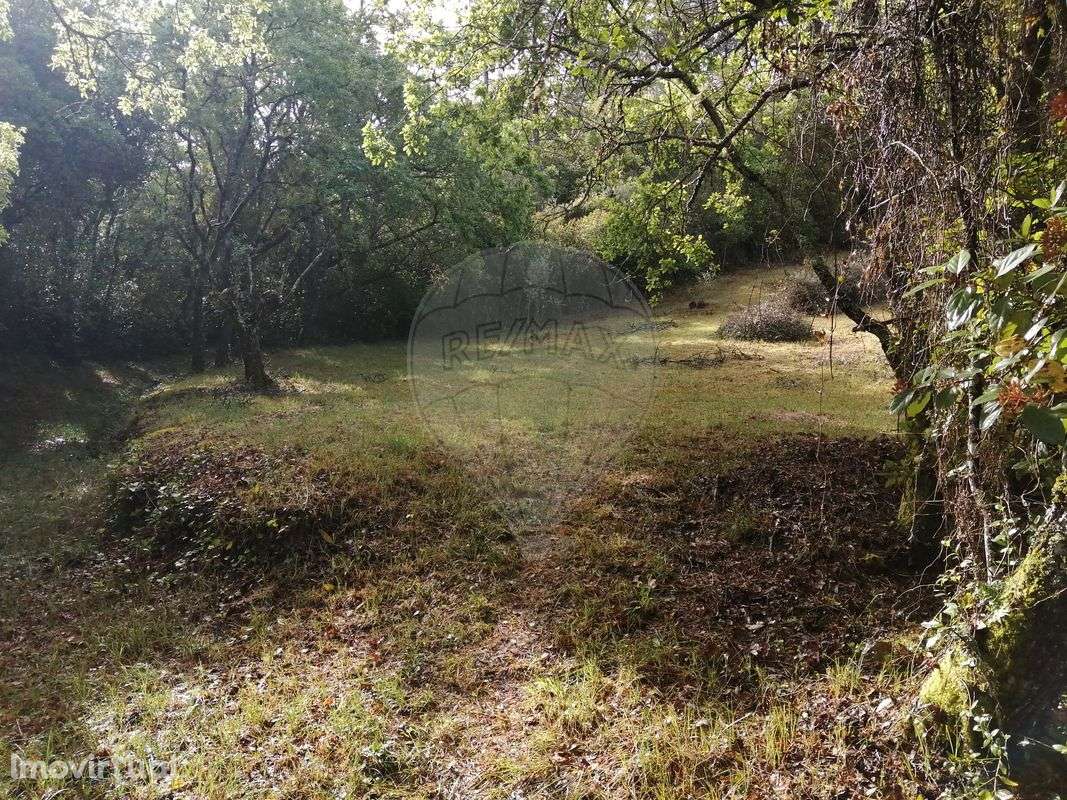 Terreno  para venda - Grande imagem: 4/4