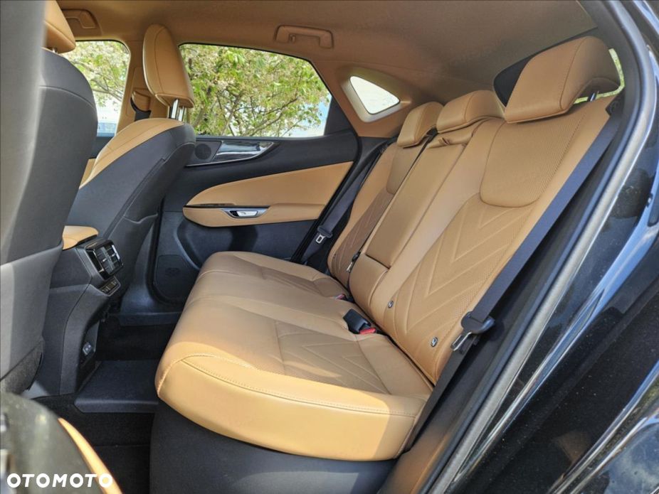 Lexus NX - 14