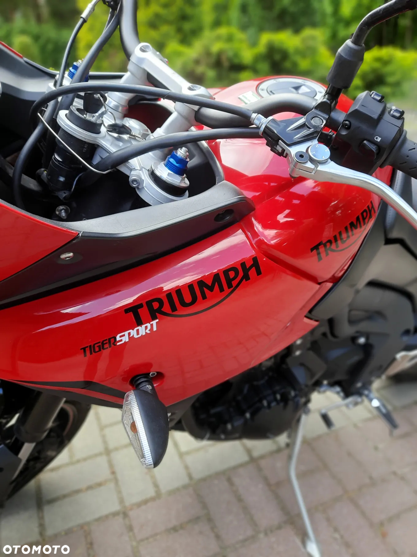 Triumph Tiger - 3