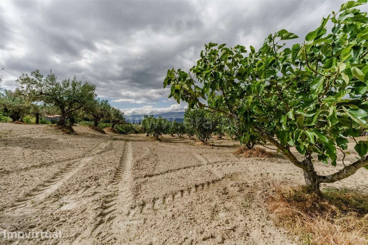 Terreno / Fundão, Fundão - Grande imagem: 5/20