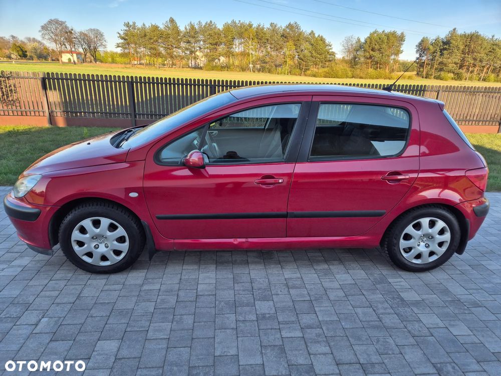 Peugeot 307 1.4 XS - 7