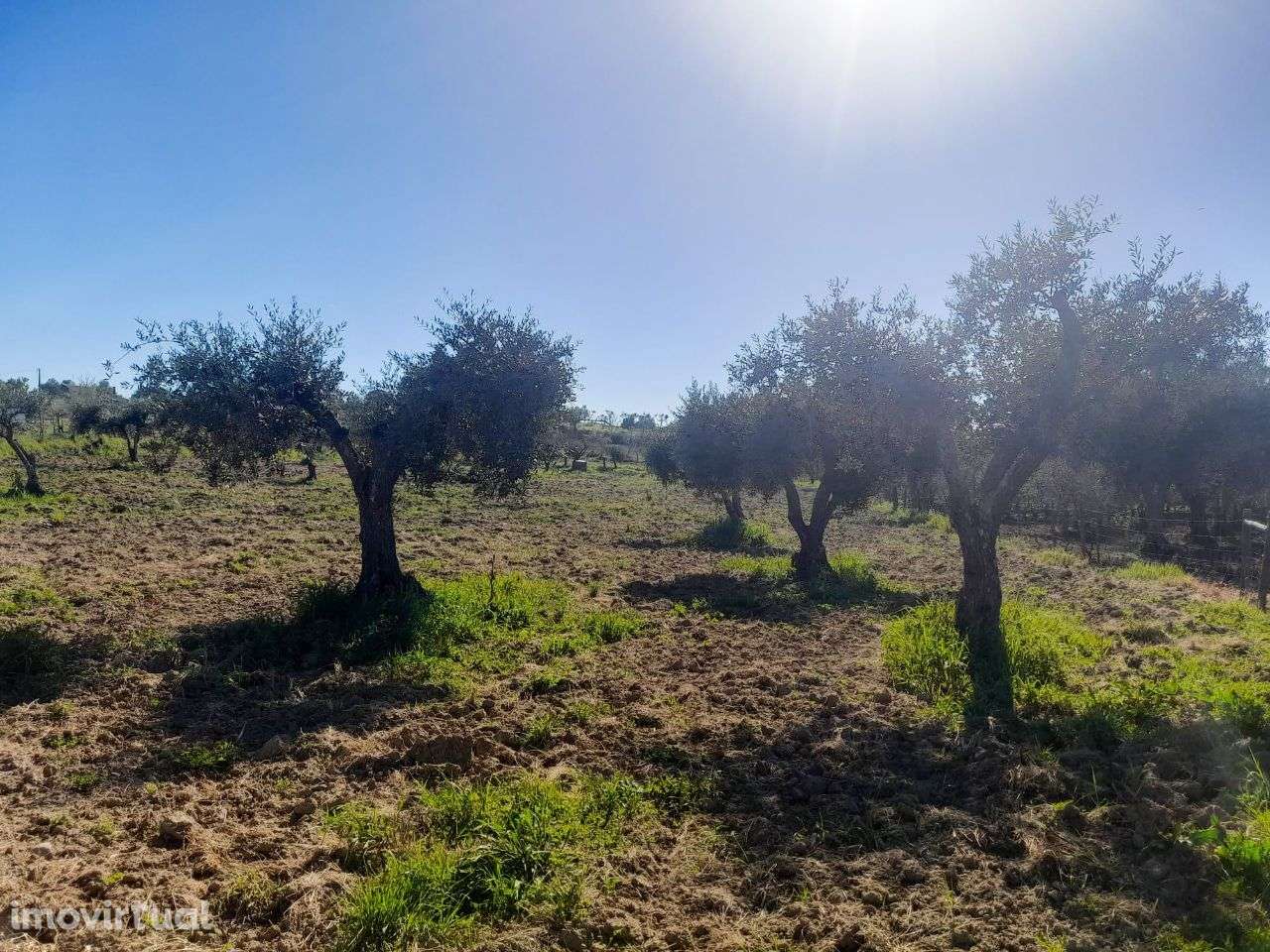 Quinta - Grande imagem: 5/10