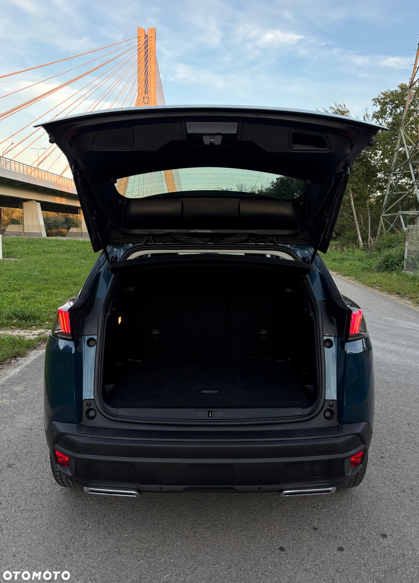 Peugeot 3008 1.5 BlueHDi Active Pack S&S EAT8 - 12