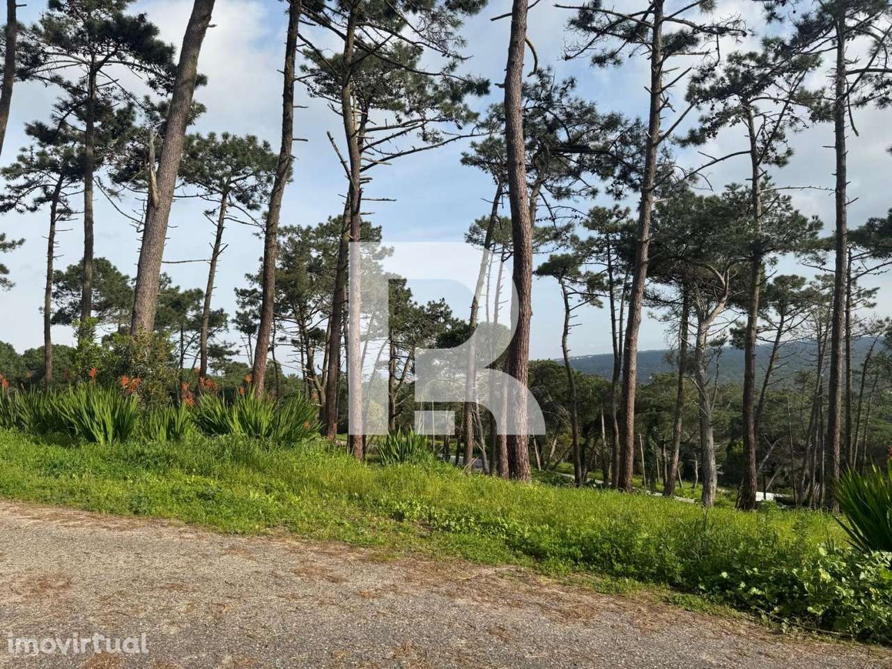 Moradia T2 em terreno de 2200m2 em Colares - Grande imagem: 4/24