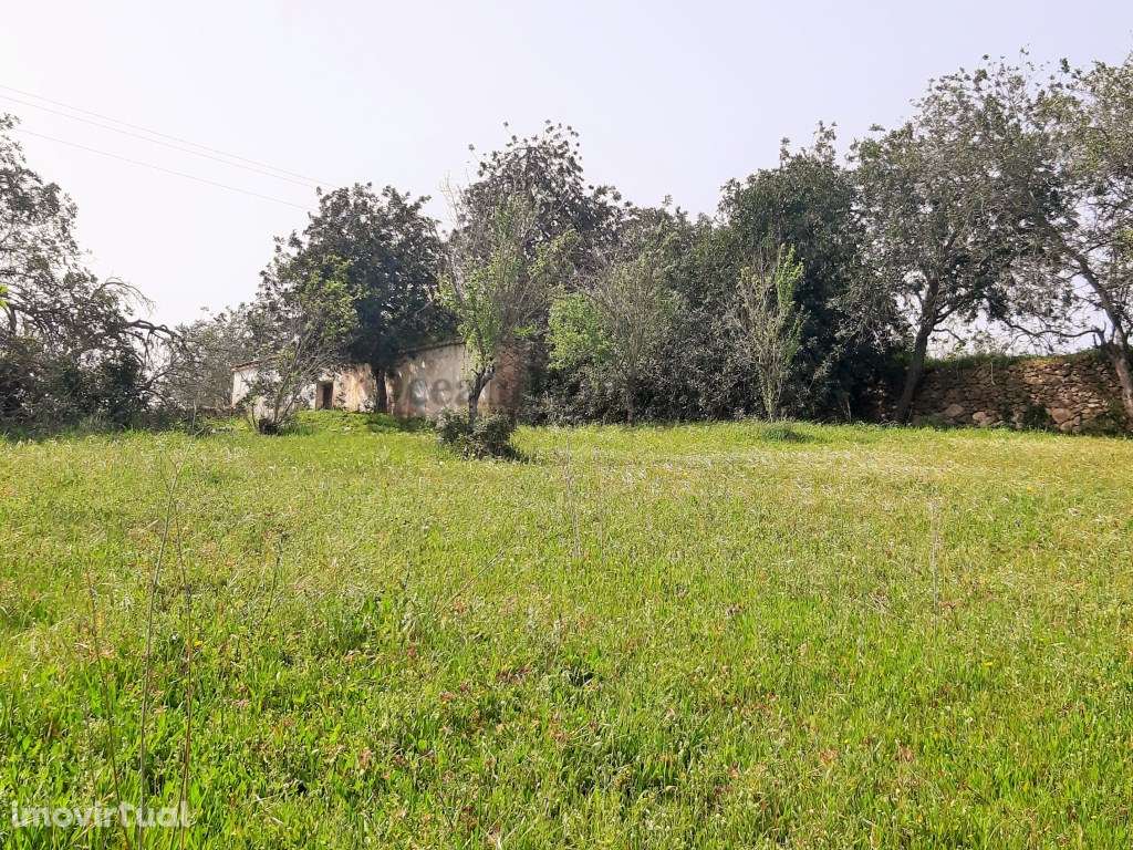 Terreno com ruína para construção de moradia em Paderne - Albufeira - Grande imagem: 4/12