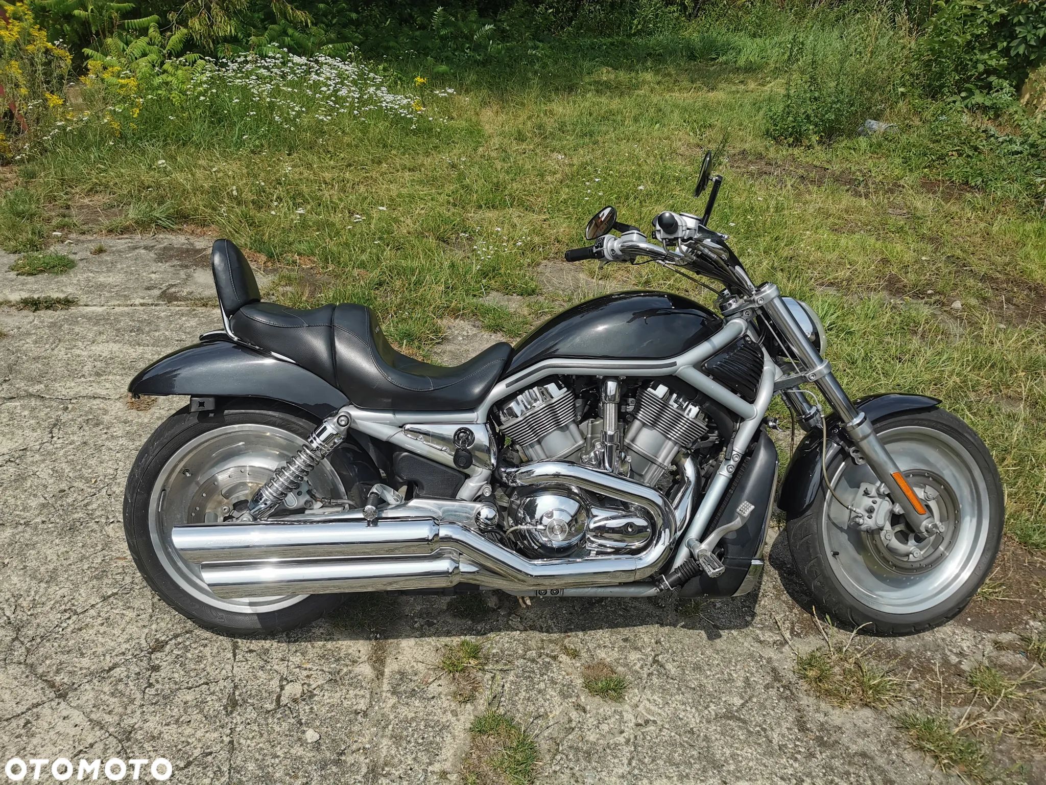 Harley-Davidson V-Rod Street Rod - 1
