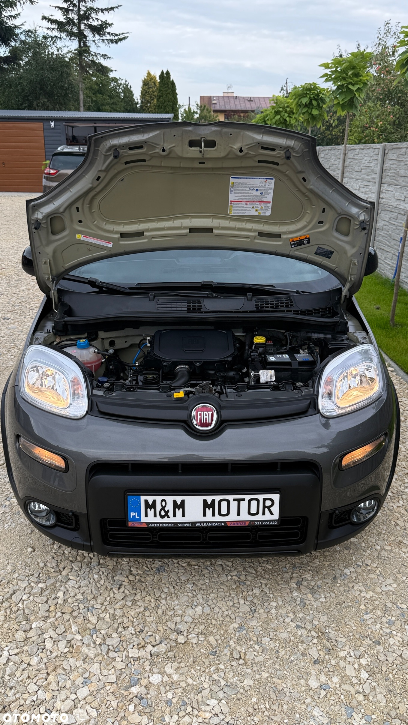 Fiat Panda 1.0 GSE Hybrid Sport - 27