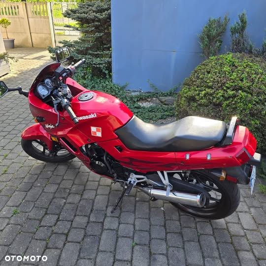 Kawasaki Ninja 250R - 4