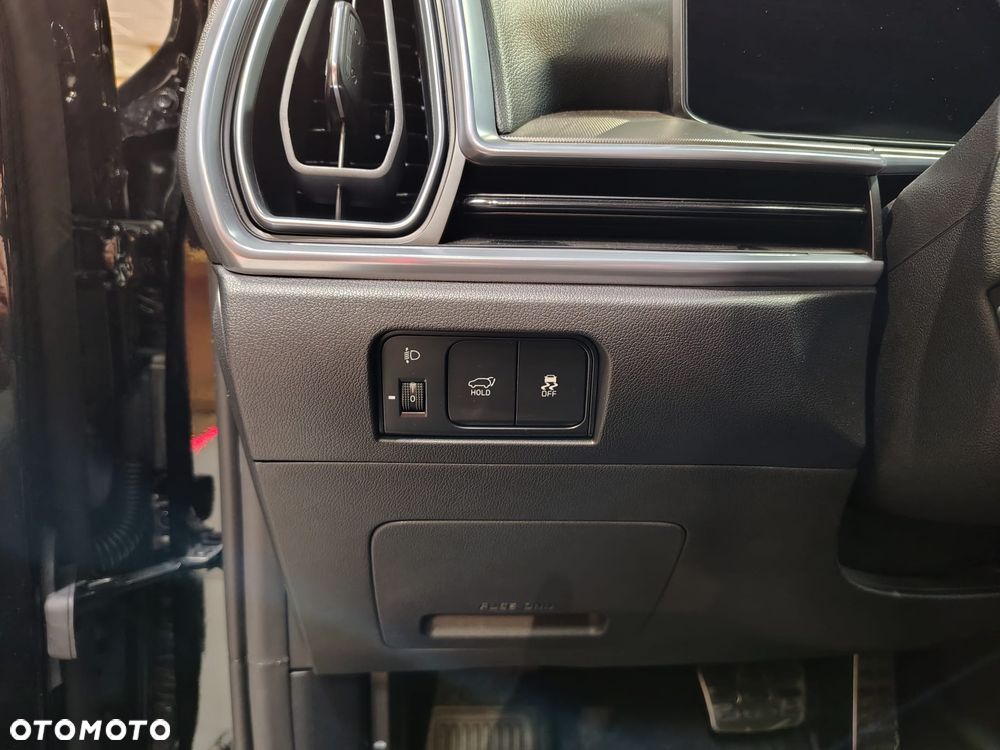 Kia Sorento - 25