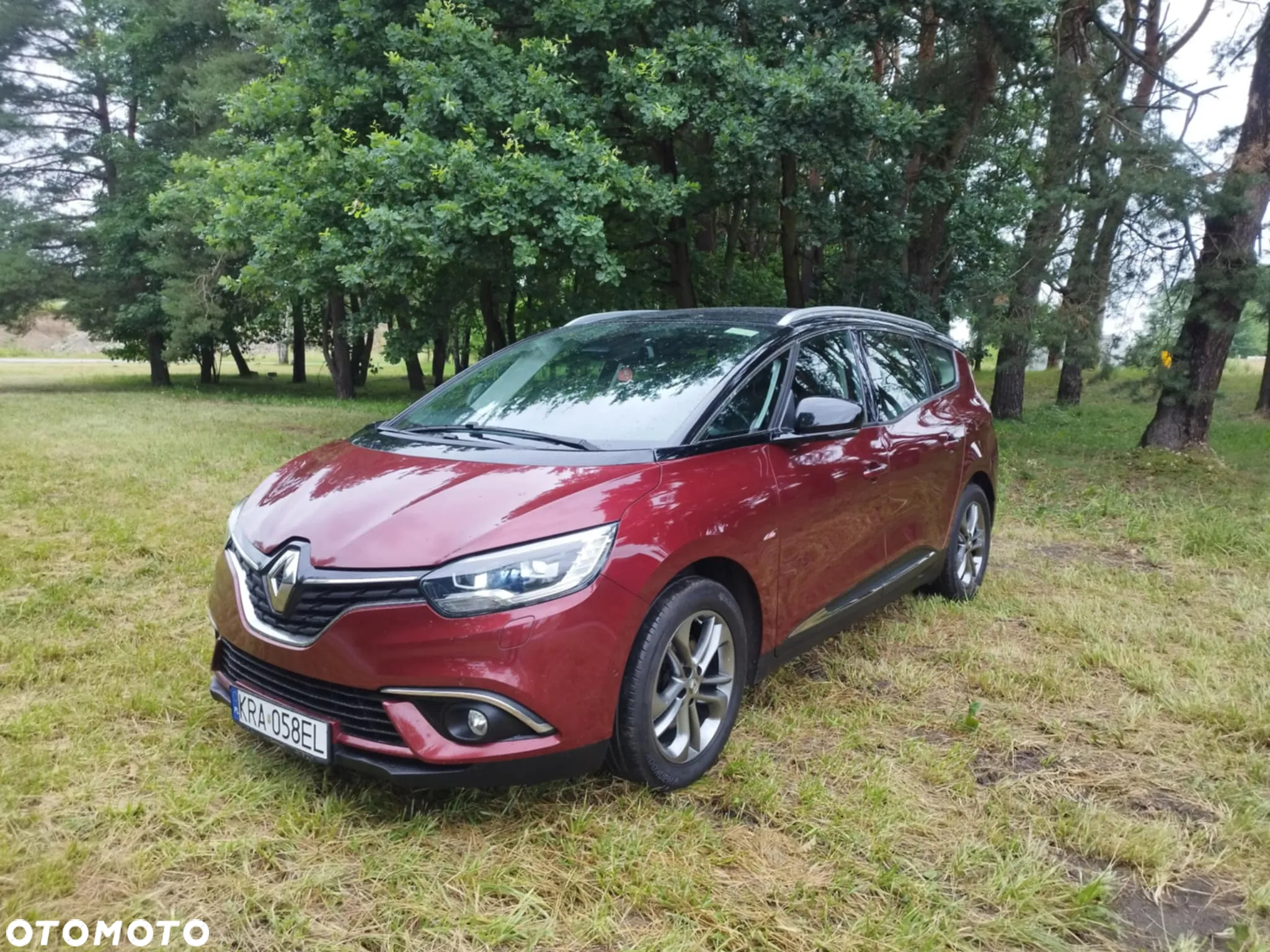 Renault Grand Scenic ENERGY TCe 130 S&S Paris - 15