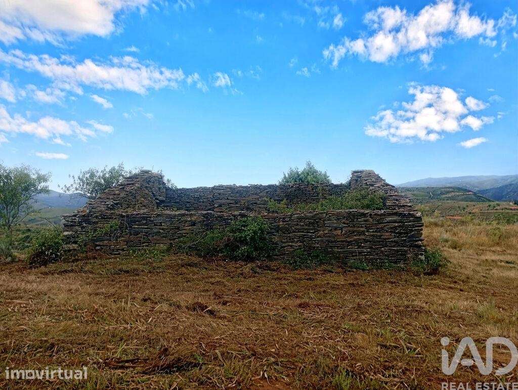 Terreno Agrícola em Vila Nova de Foz Côa - Grande imagem: 4/20
