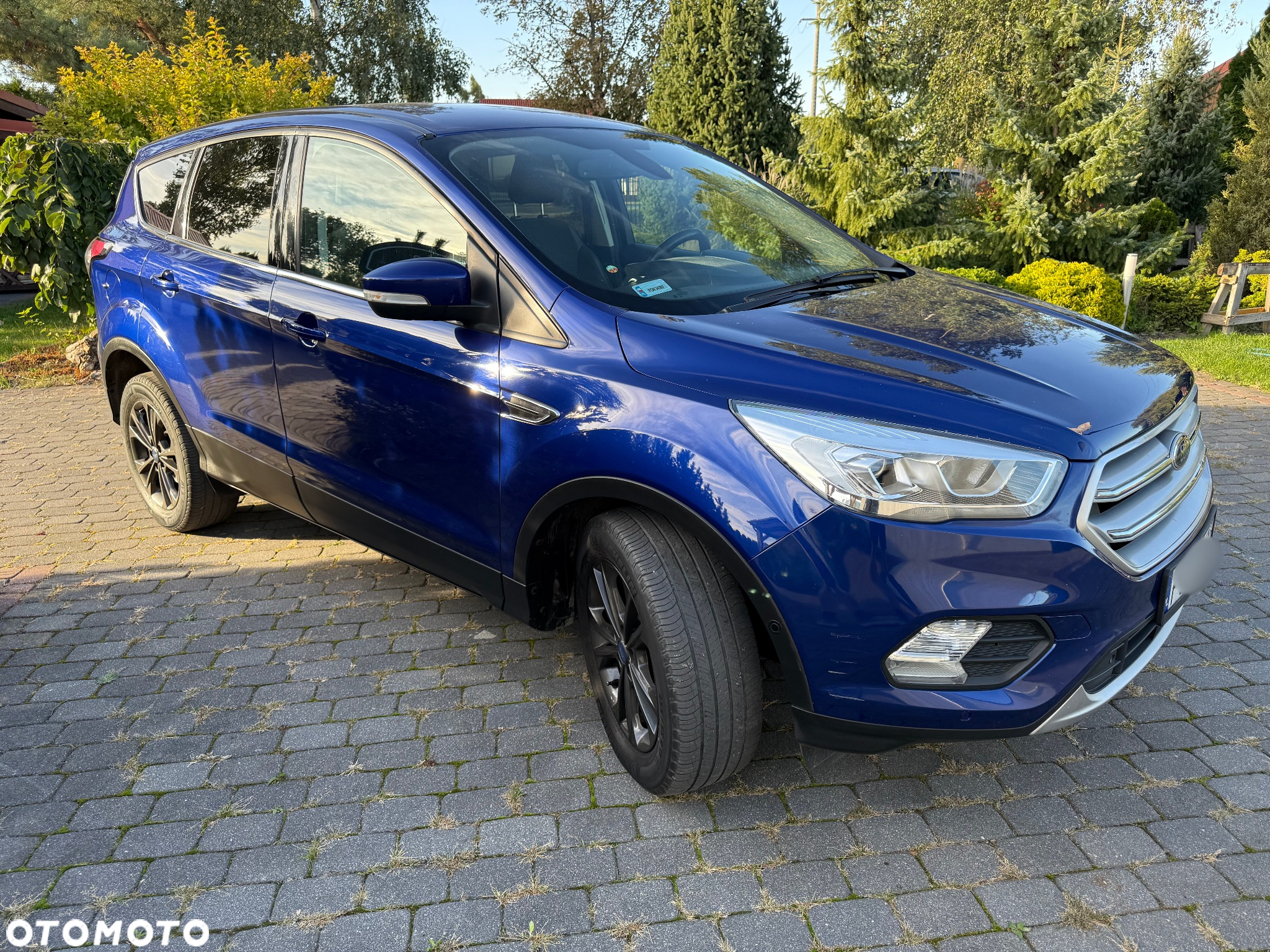 Ford Kuga 1.5 EcoBlue FWD Titanium - 3