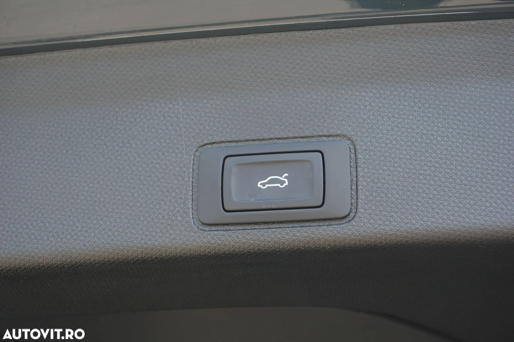 Cupra Terramar - 31