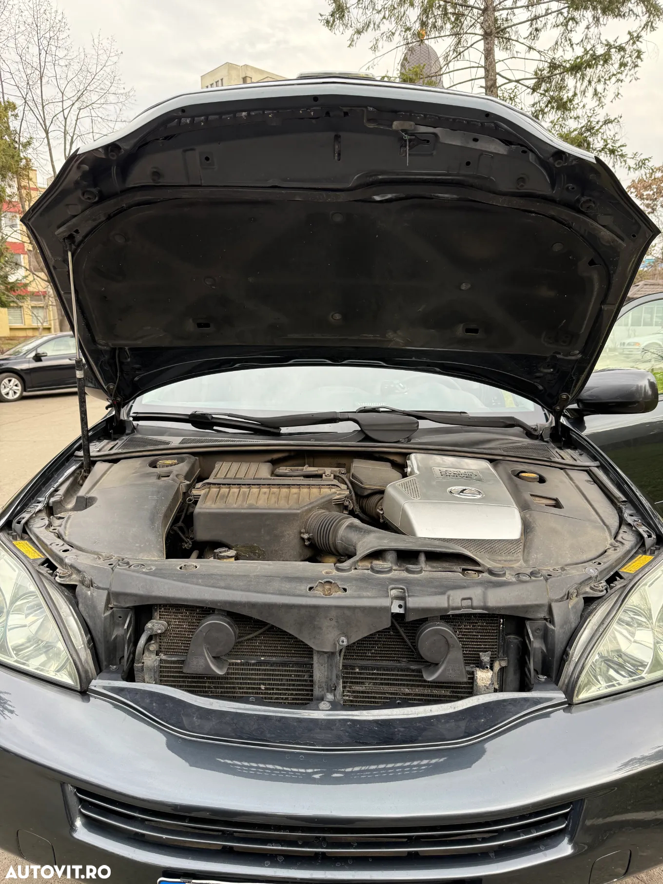 Lexus Seria RX 400 3.3 V6 Aut Boulevard - 18