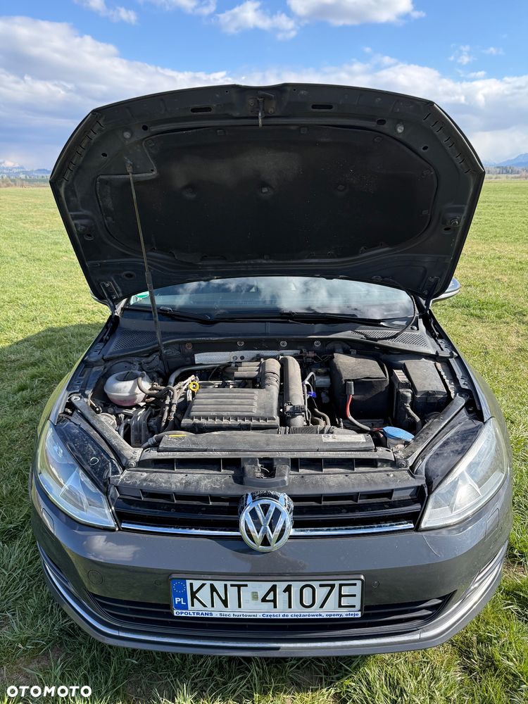 Volkswagen Golf - 19