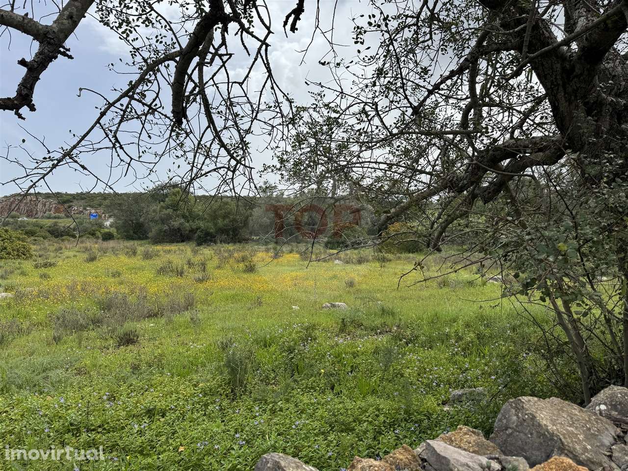 Terreno Misto em Moncarapacho - Grande imagem: 5/13