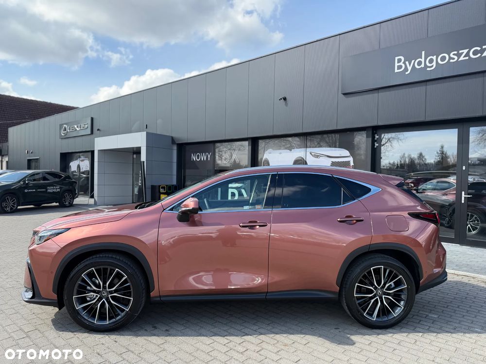 Lexus NX 350h Omotenashi AWD - 4