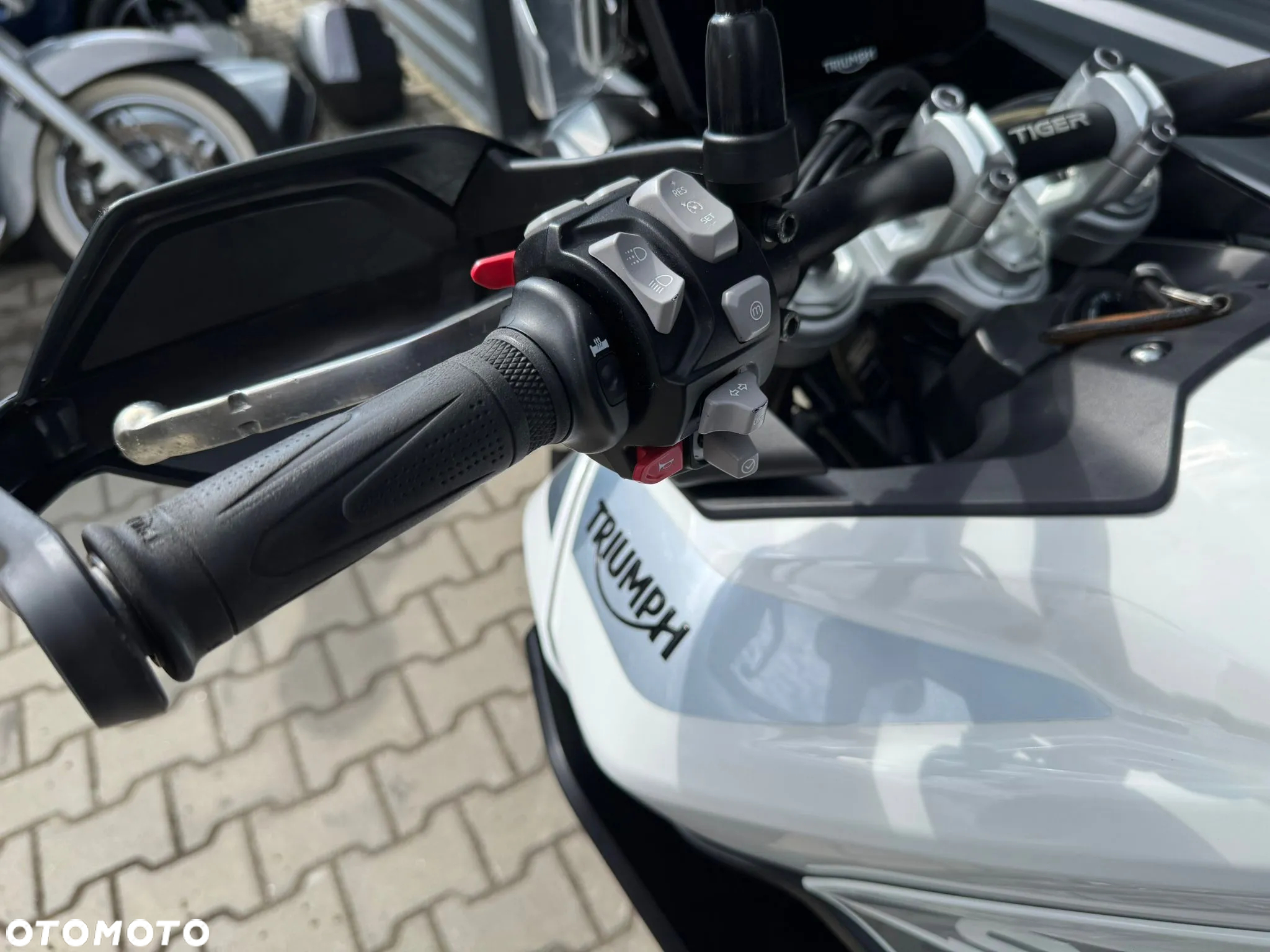 Triumph Tiger - 12