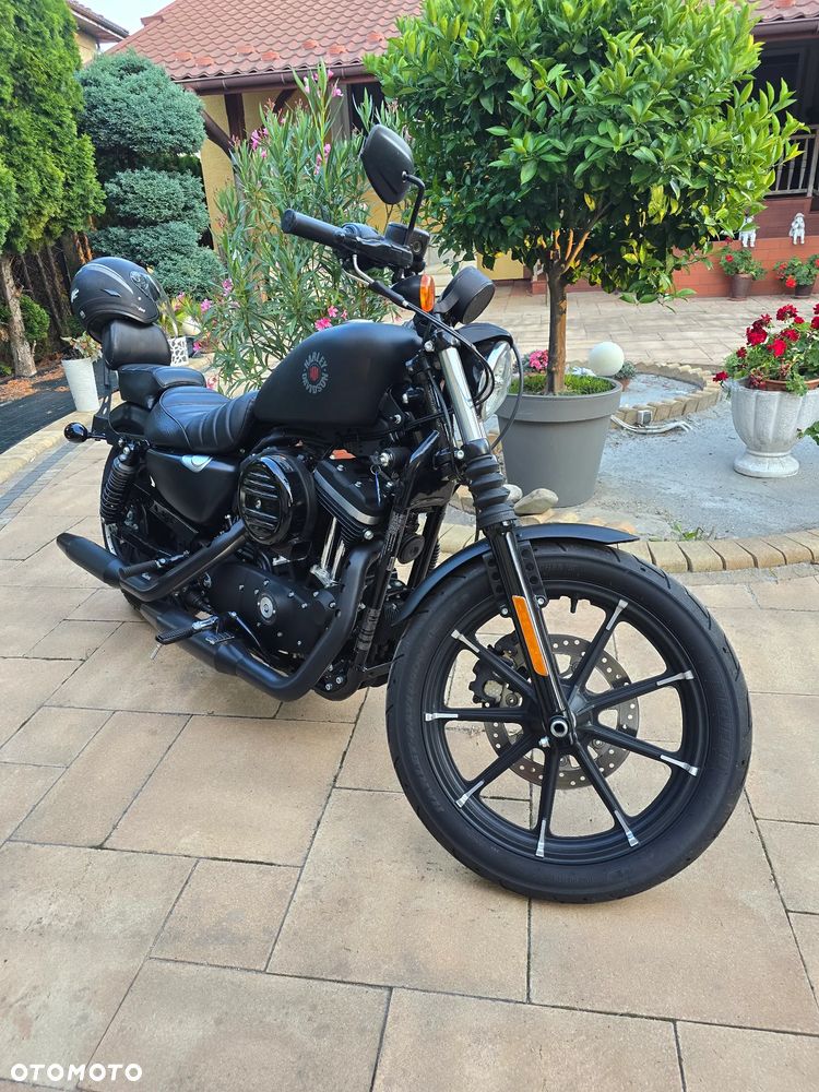 Harley-Davidson Sportster Iron 883 - 3