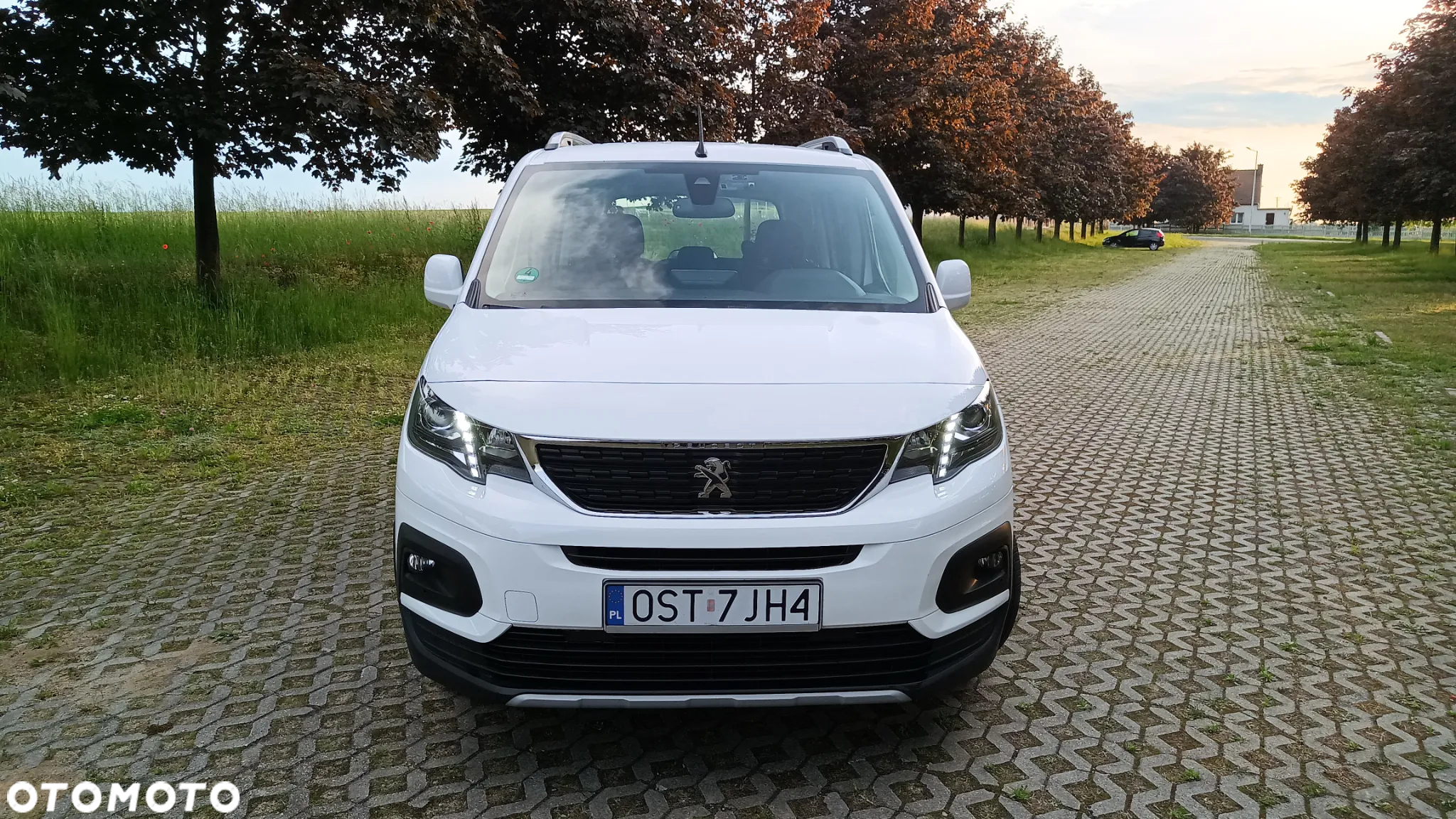 Peugeot Rifter 1.5 BlueHDI Allure S&S - 10