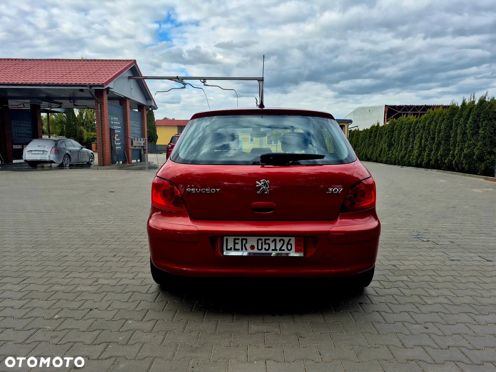 Peugeot 307 - 8