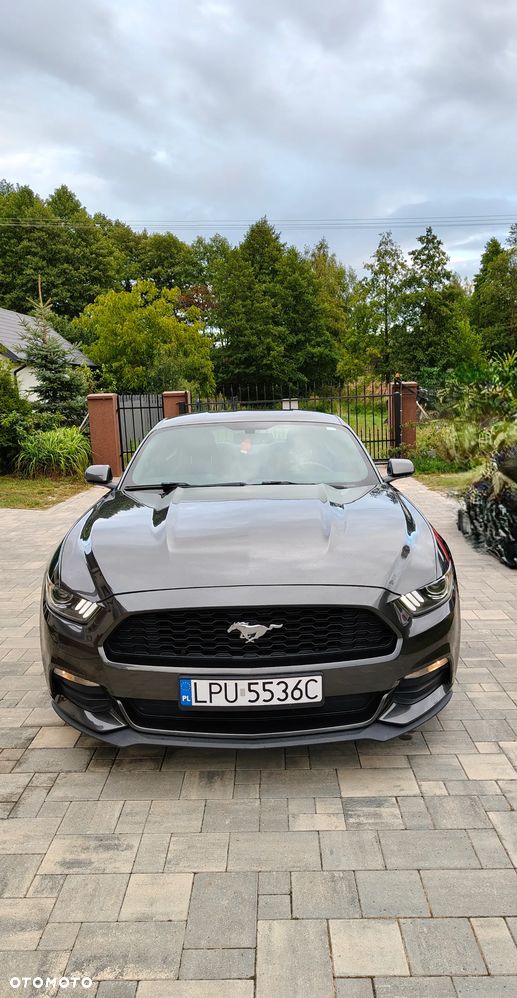 Ford Mustang - 3