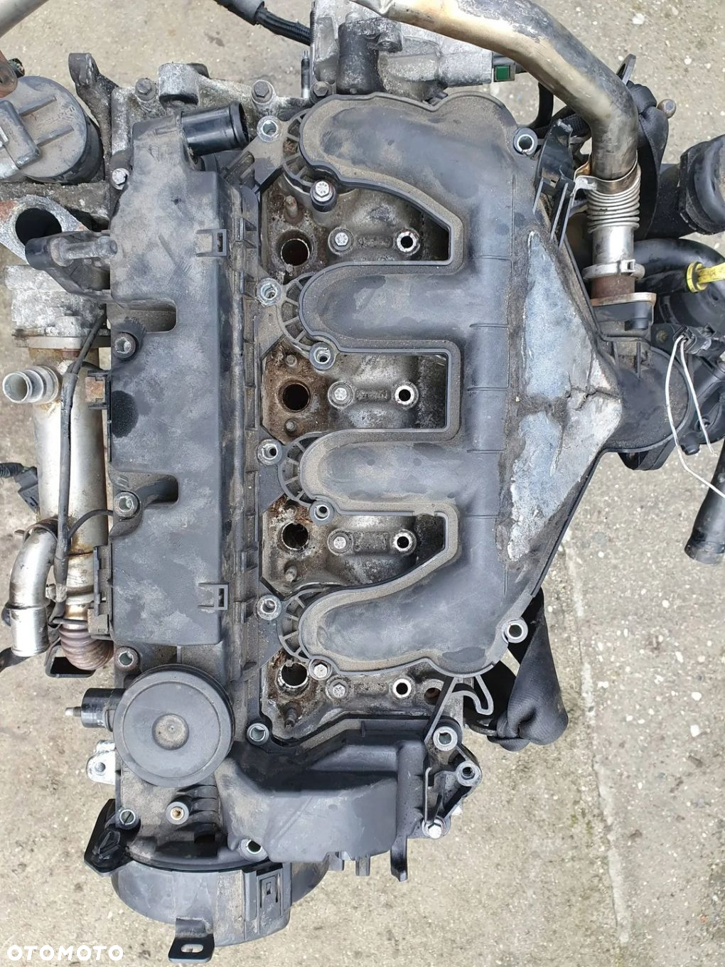 Kuga MK1 2008-2012 2.0 TDCI Silnik D4204T - 7