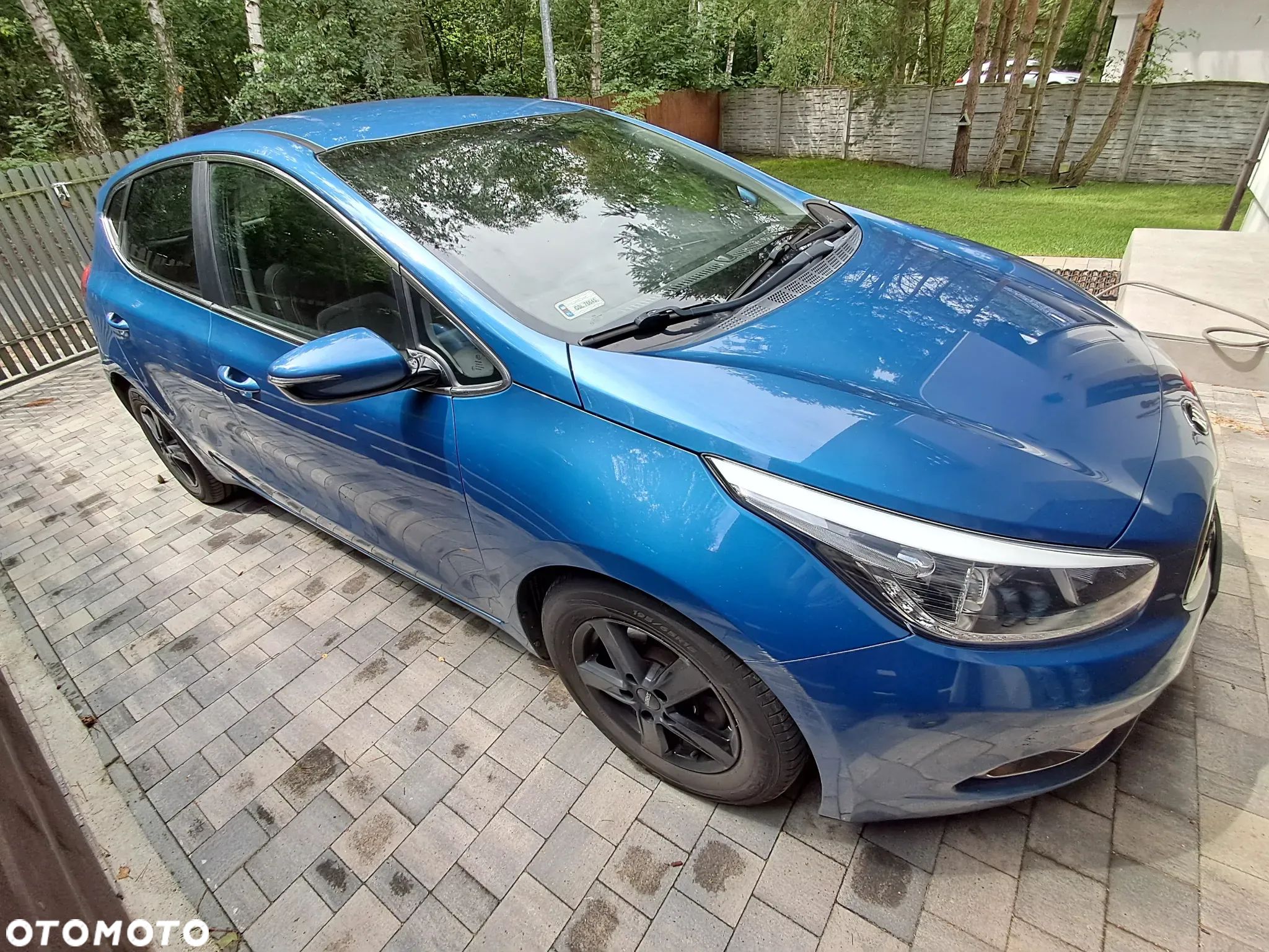 Kia Ceed - 1