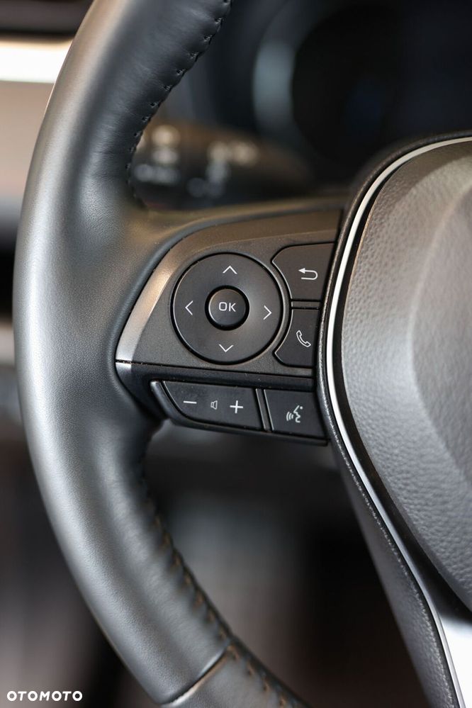 Toyota RAV4 2.5 Hybrid Adventure 4x4 - 30