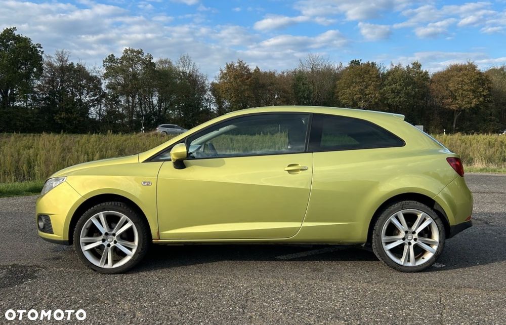 Seat Ibiza 2010 photo 2