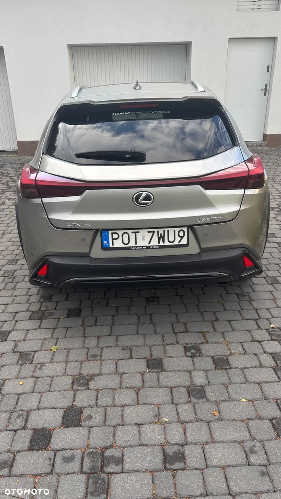 Lexus UX 250h GPF F Sport Design 2WD - 7