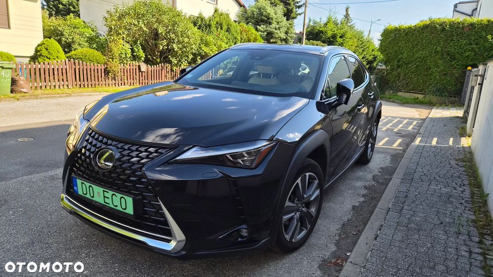 Lexus UX 300e 54.3 kWh Omotenashi 2WD - 8
