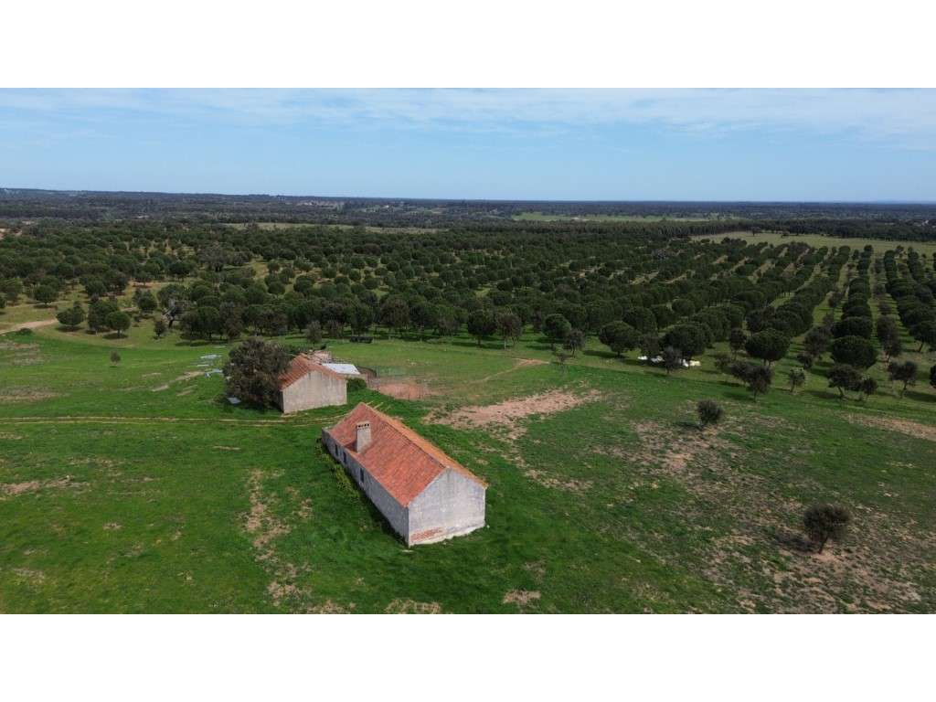 INVESTIMENTO: Herdade no Cercal junto a Barragem - Grande imagem: 4/29
