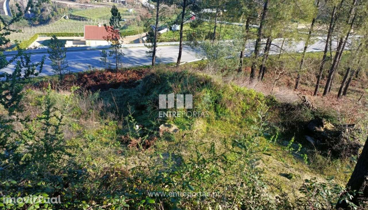 Venda Moradia V3, Marco, Marco de Canaveses - Grande imagem: 2/23