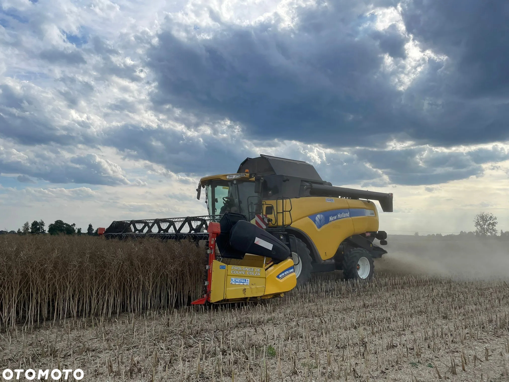 New Holland New Holland CX 860 SL heder 7,3m wozek stol rzepak - 6