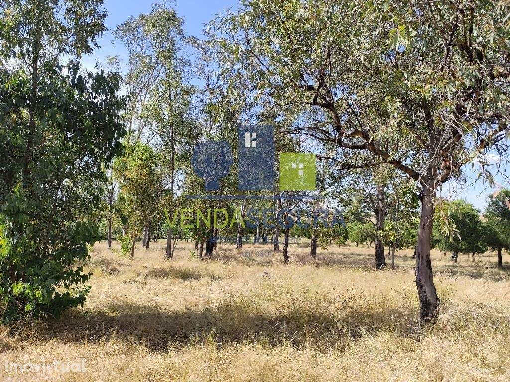 Terreno Rústico 11,425 Ha |Amareleja - Grande imagem: 5/9