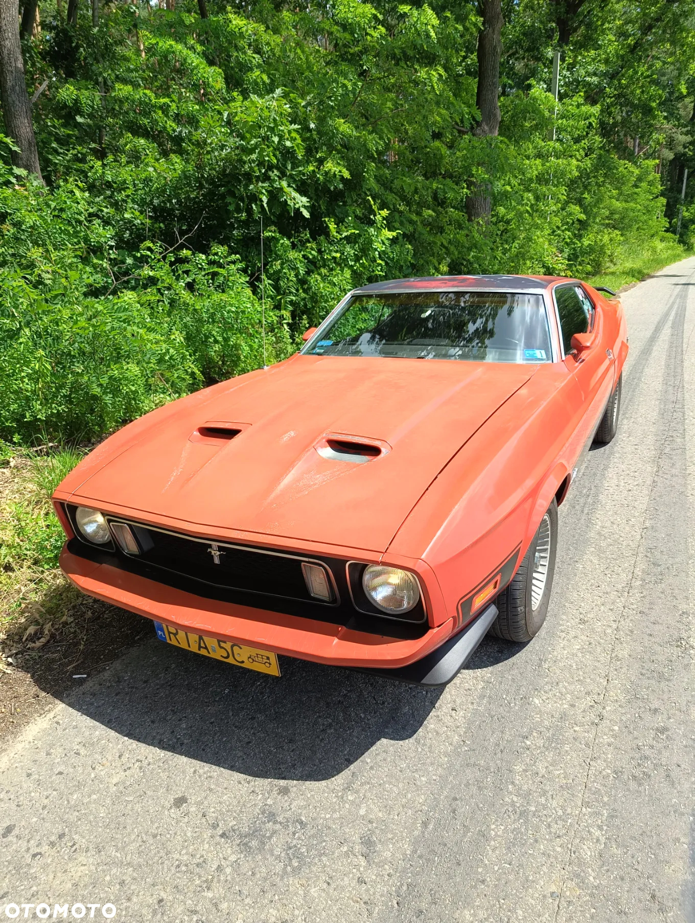 Ford Mustang - 4