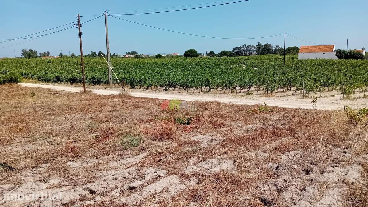 Terreno com 9750 m2 com autorização para 500 m2 de construção em Palme - Grande imagem: 3/9