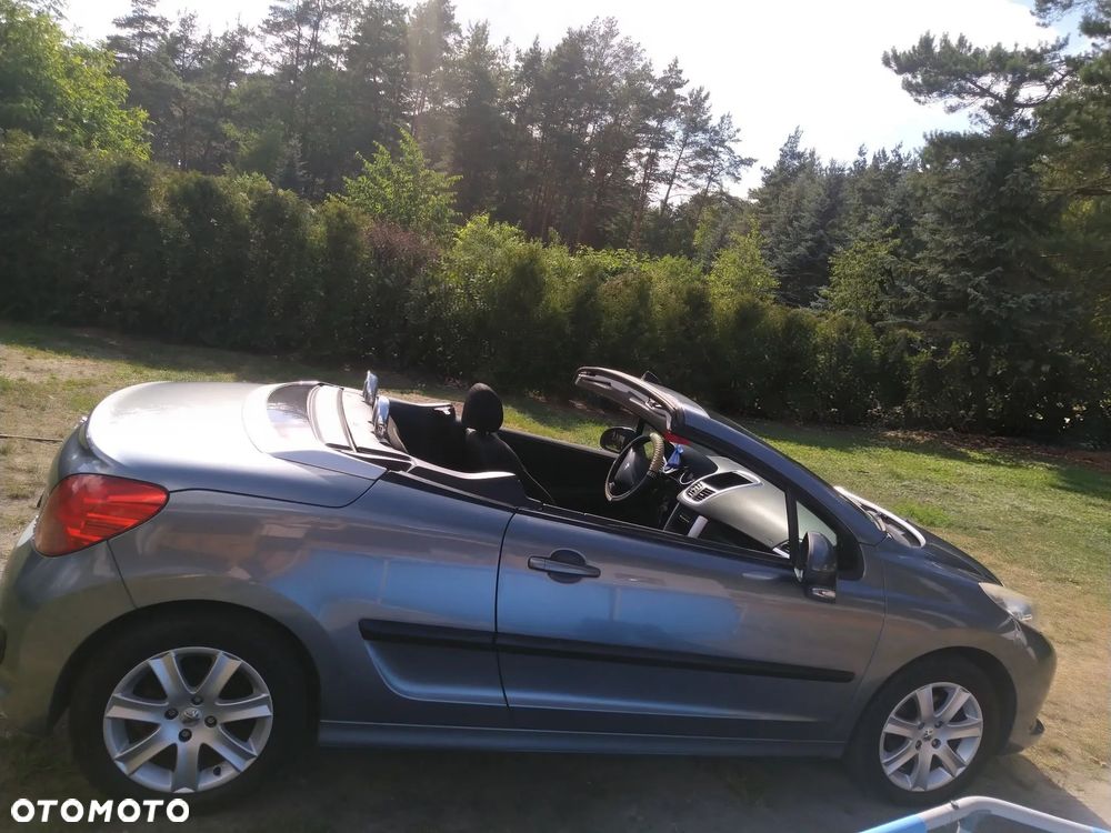 Peugeot 207 - 11