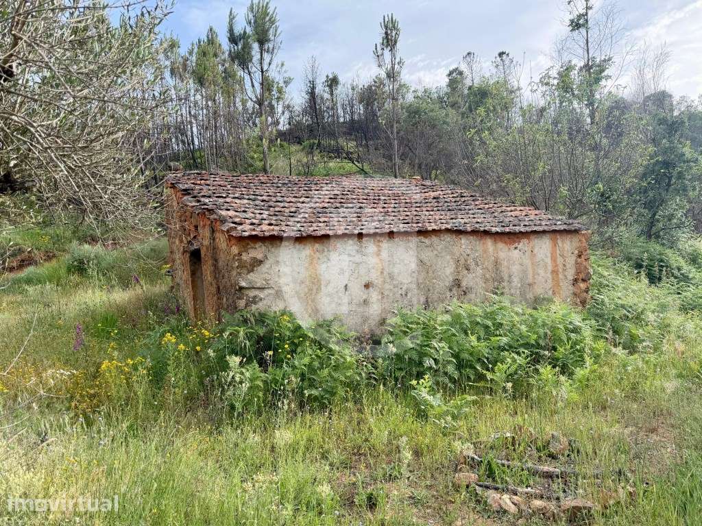 Terreno em Lavacolhos - Grande imagem: 3/14