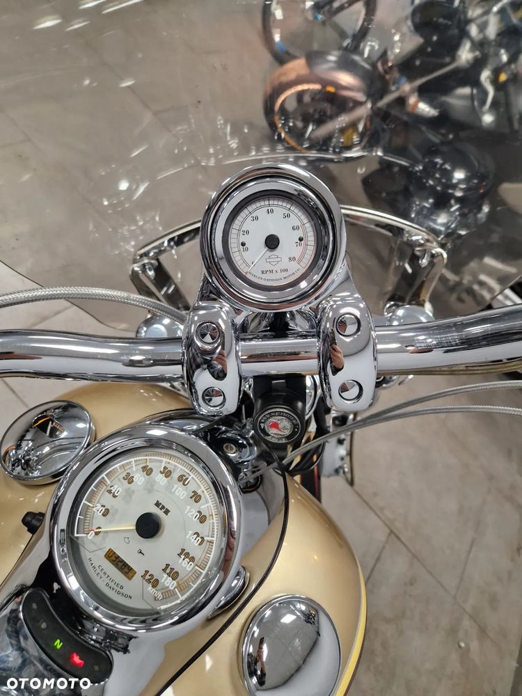 Harley-Davidson Softail Custom - 15