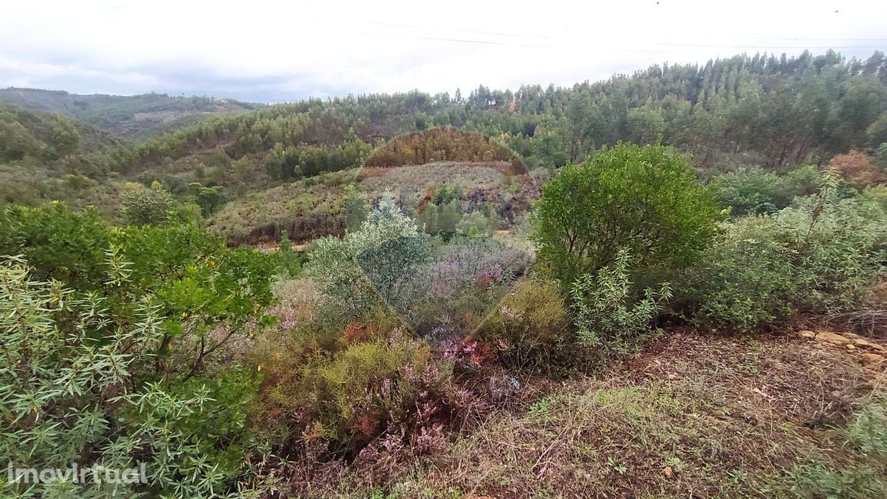 Terreno  para venda - Grande imagem: 3/5