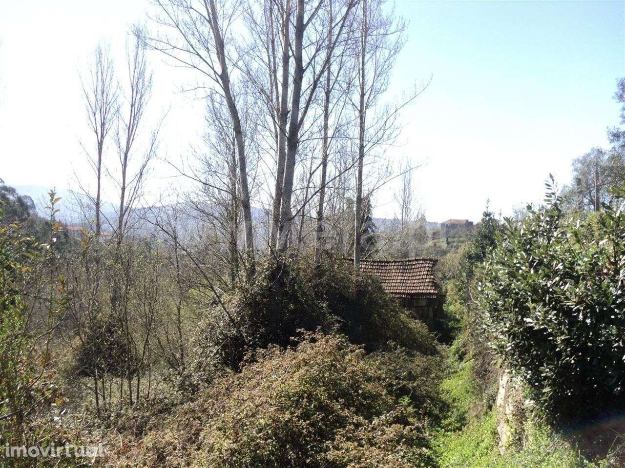 Terreno Rústico / Marco de Canaveses, Sande e São Lourenço - Grande imagem: 3/5