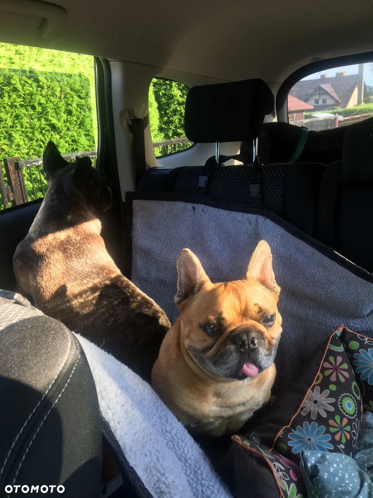 Mitsubishi Outlander 2.0 Intense 4WD CVT - 12