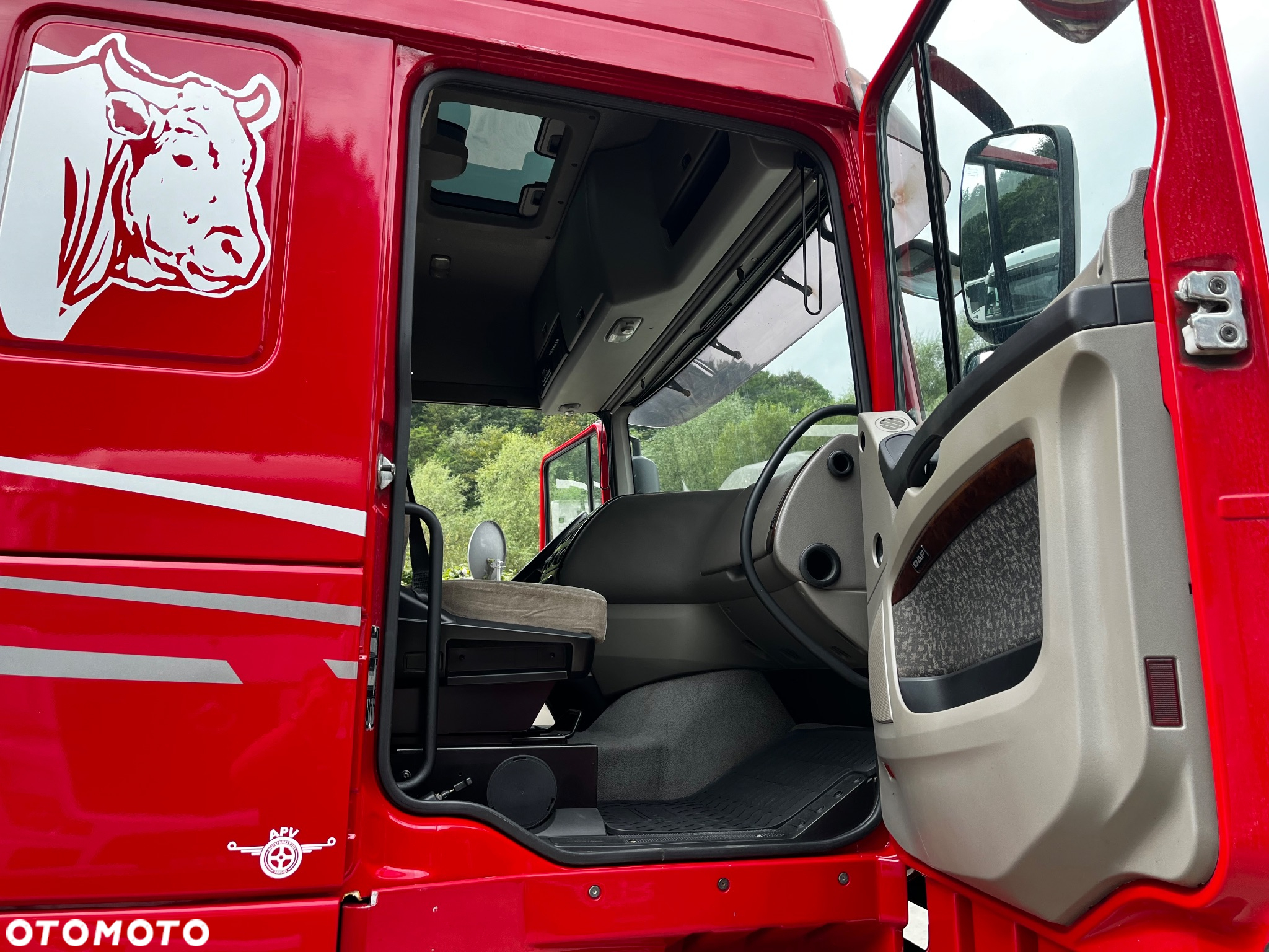 DAF XF 105.460 Euro 5 // Manual // Retarder // Do Żywca / Bydła / Zwierząt / - 18