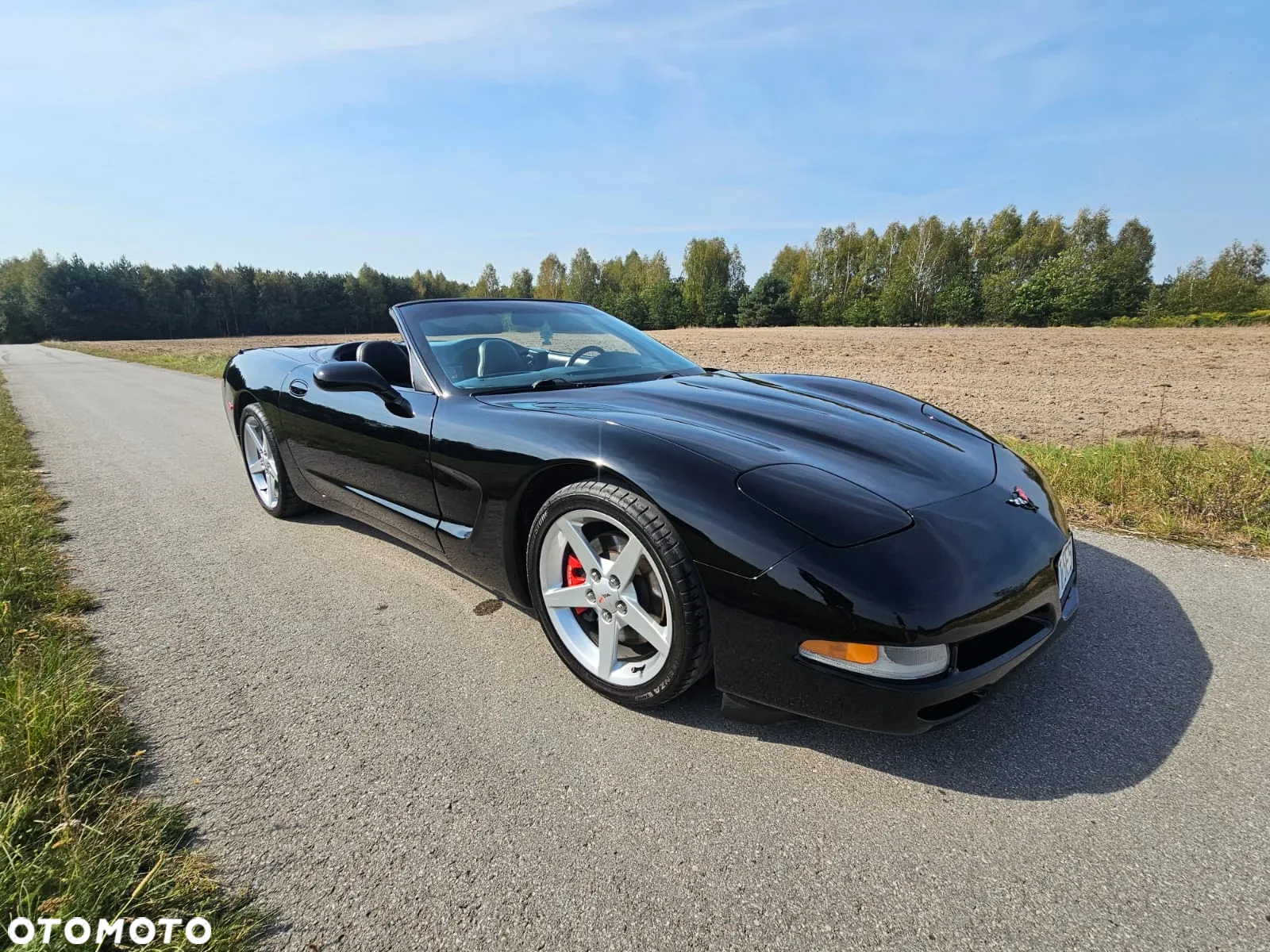 Chevrolet Corvette - 19