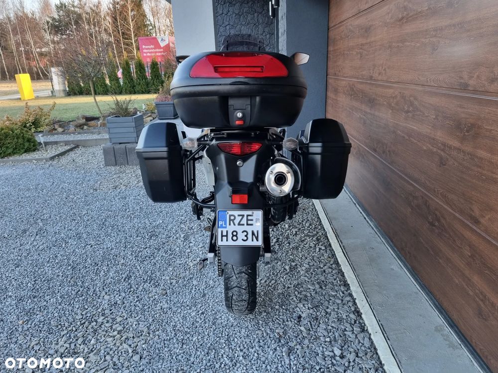 Suzuki DL - 5