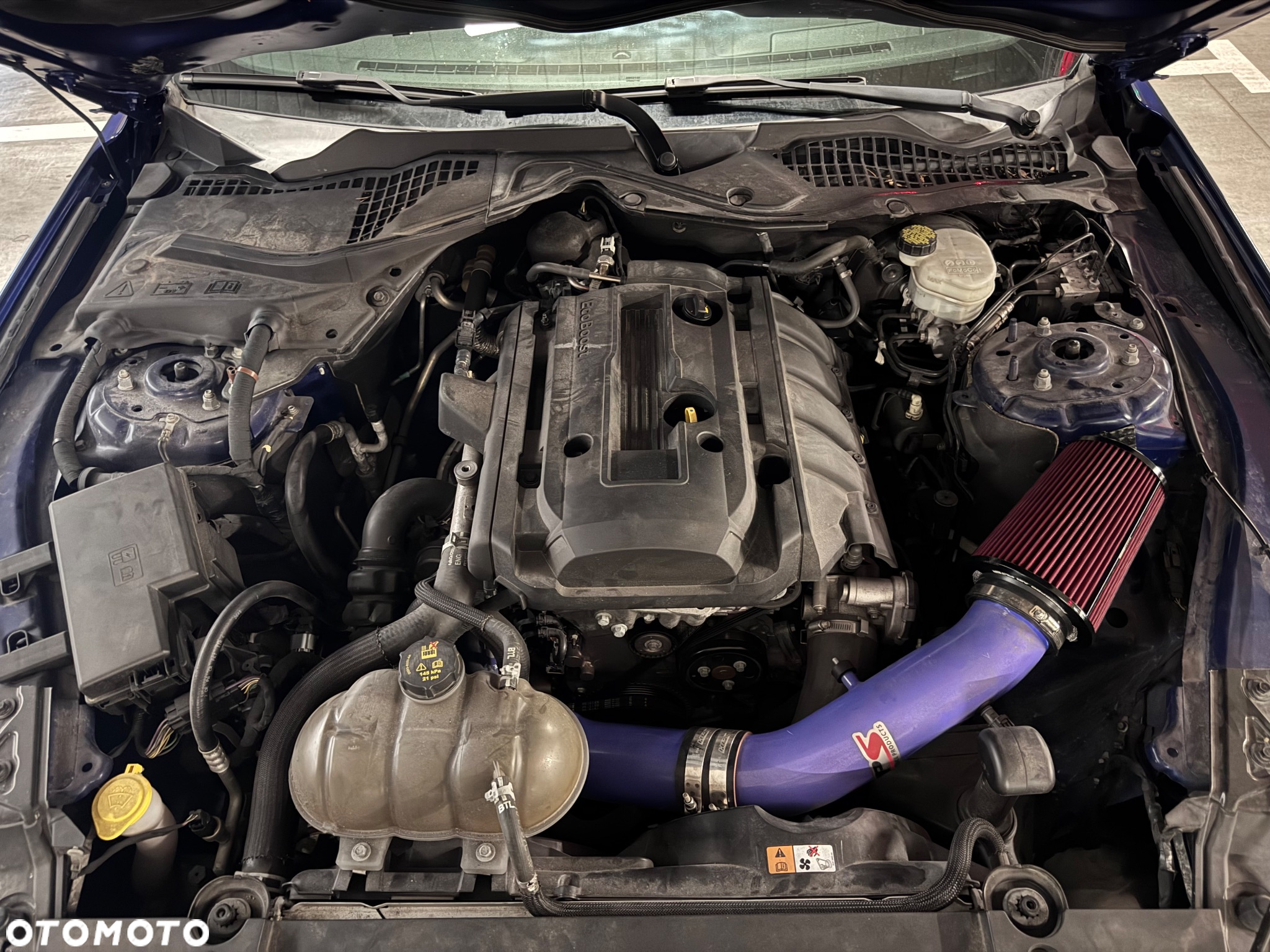 Ford Mustang 2.3 EcoBoost - 6