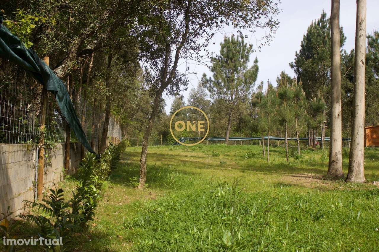 Terreno São Félix da Marinha – 4.100 m2 - Grande imagem: 5/9