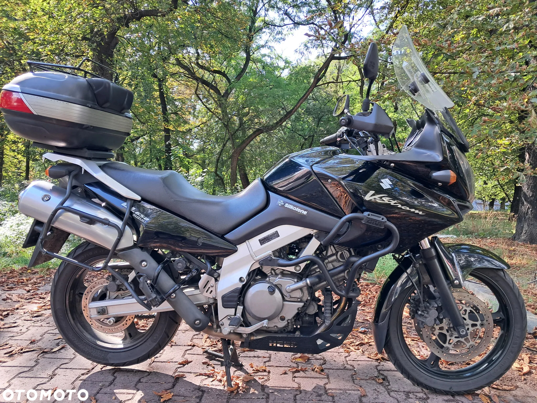 Suzuki V-STROM - 2